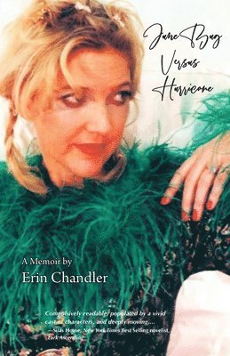 Erin Chandler - June Bug Versus Hurricane, Häftad