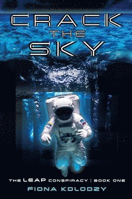 bokomslag Crack the Sky