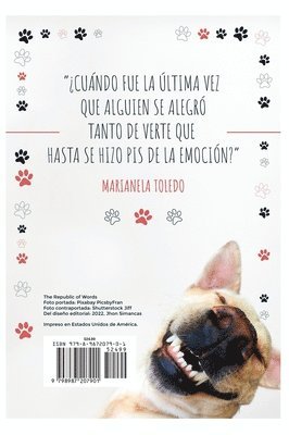 bokomslag 50 Cosas que nos enseñan los perros