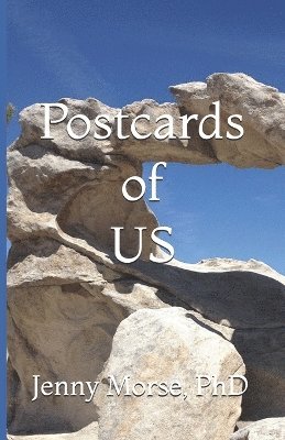 bokomslag Postcards of US