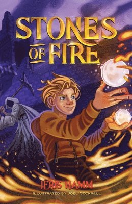 bokomslag Stones of Fire