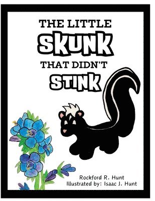 bokomslag The Little Skunk That Didn't Stink