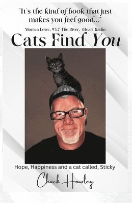 Cats Find You 1