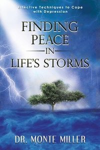 bokomslag Finding Peace in Life's Storms