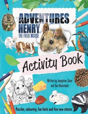 bokomslag The Adventures of Henry the Field Mouse Activity Book