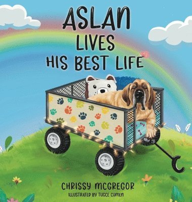 Aslan Lives His Best Life 1