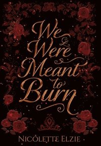 bokomslag We Were Meant to Burn