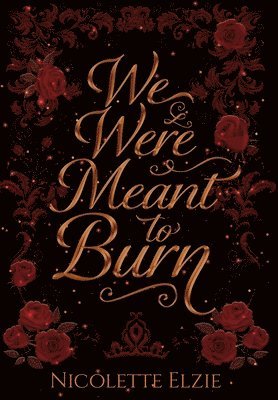 bokomslag We Were Meant to Burn