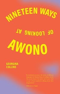 bokomslag Nineteen Ways of Looking at Awono