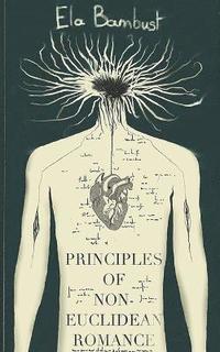 bokomslag Principles Of Non-Euclidean Romance