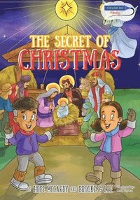 bokomslag The Secret of Christmas