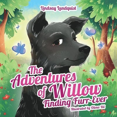 The Adventures of Willow 1