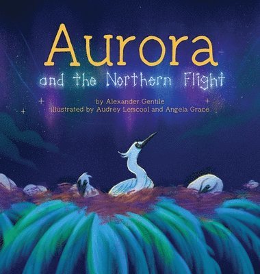 Aurora and the Northern Flight 1