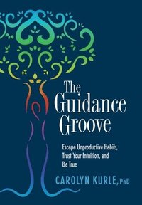bokomslag The Guidance Groove