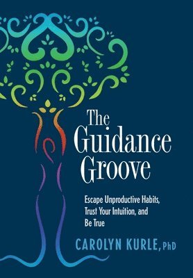 bokomslag The Guidance Groove