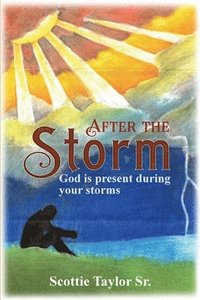 bokomslag "After the Storm"