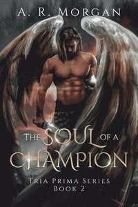 bokomslag The Soul of a Champion