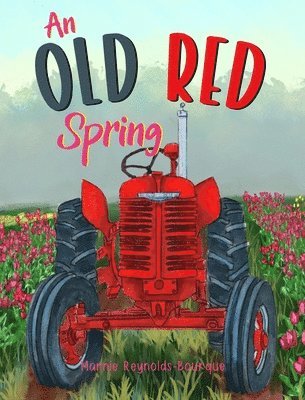 bokomslag Old Red Spring
