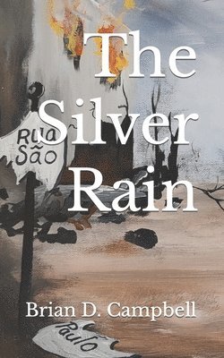 bokomslag Silver Rain