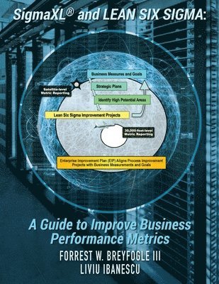 bokomslag SigmaXL(R) and Lean Six Sigma