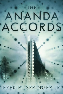 bokomslag The Ananda Accords