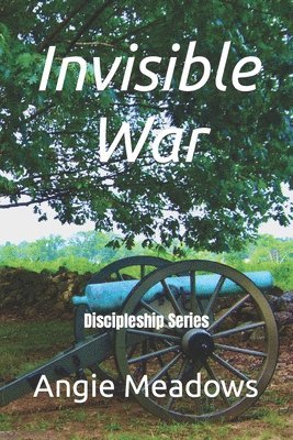 Angie Meadows - Invisible War, Häftad
