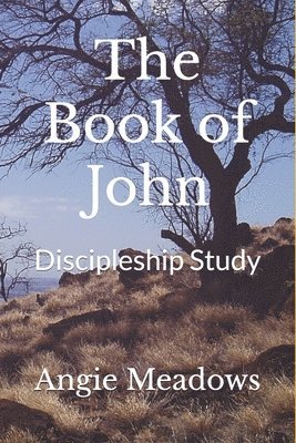 Angie Meadows - Book of John, Häftad