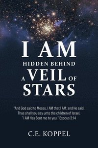 bokomslag I Am Hidden Behind a Veil of Stars