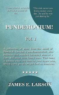 bokomslag Pundemonium! Vol. 1