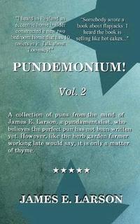 bokomslag Pundemonium Vol. 2