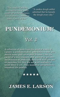 bokomslag Pundemonium Vol. 3