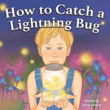 bokomslag How to Catch a Lightning Bug