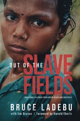 bokomslag Out of the Slave Fields