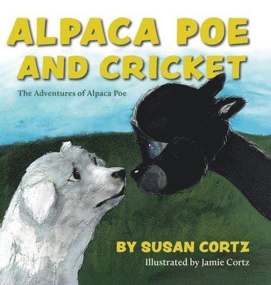 Alpaca Poe and Cricket 1