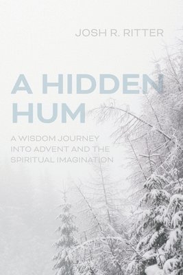 bokomslag A Hidden Hum: A Wisdom Journey into Advent and the Spiritual Imagination