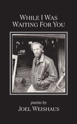 Joel Weishaus - While I Was Waiting for You, Häftad