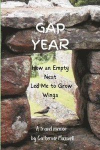 bokomslag Gap Year: How an Empty Nest Led Me to Grow Wings