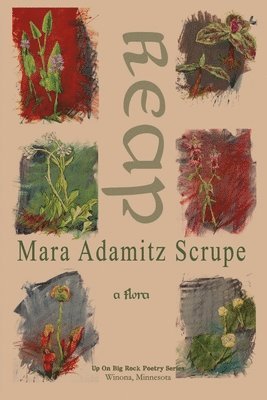 Mara Adamitz Scrupe - Reap, Häftad