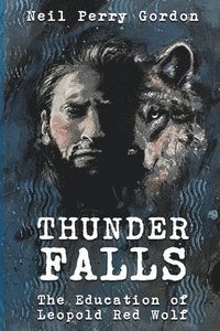 bokomslag Thunder Falls