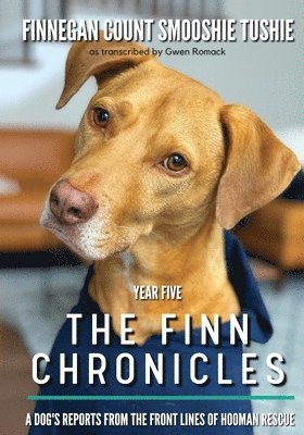 The Finn Chronicles 1