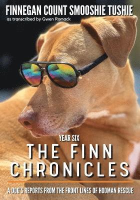 The Finn Chronicles 1