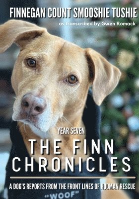 bokomslag The Finn Chronicles: Year Seven