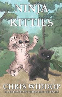 bokomslag Ninja Kitties