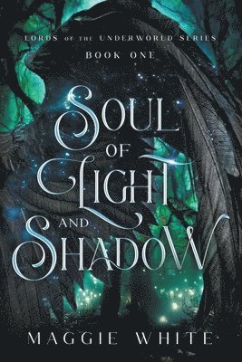 Soul of Light and Shadow 1