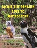 bokomslag Jackie the Penguin Goes to Madagascar