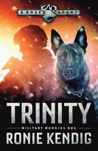 bokomslag Trinity