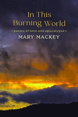 In This Burning World: Poems of Love and Apocalypse