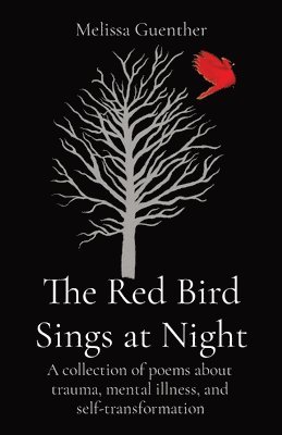 bokomslag The Red Bird Sings at Night