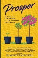 bokomslag Prosper: A Guide to Flourishing in Life, Business, and Career