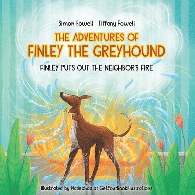 The Adventures of Finley the Greyhound 1